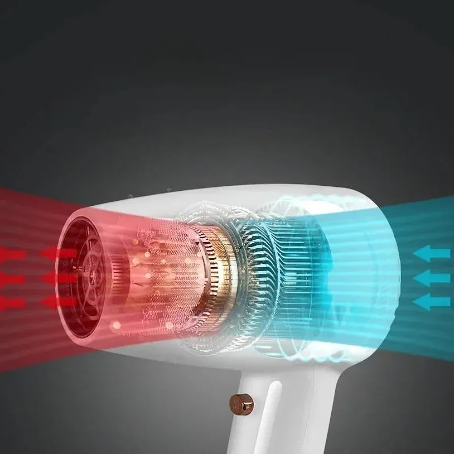 DENX Professional Hair Dryer DX1398