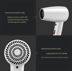 DENX Professional Hair Dryer DX1398