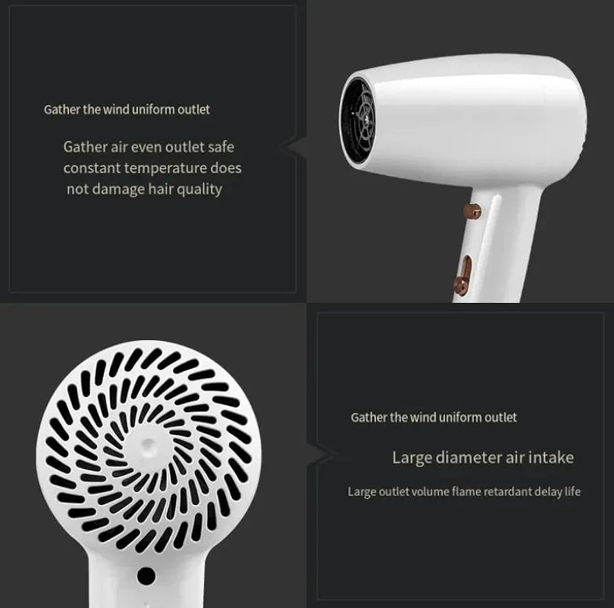 DENX Professional Hair Dryer DX1398
