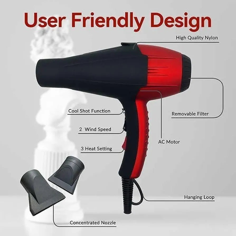 DENX Professional Hair Dryer DX1349