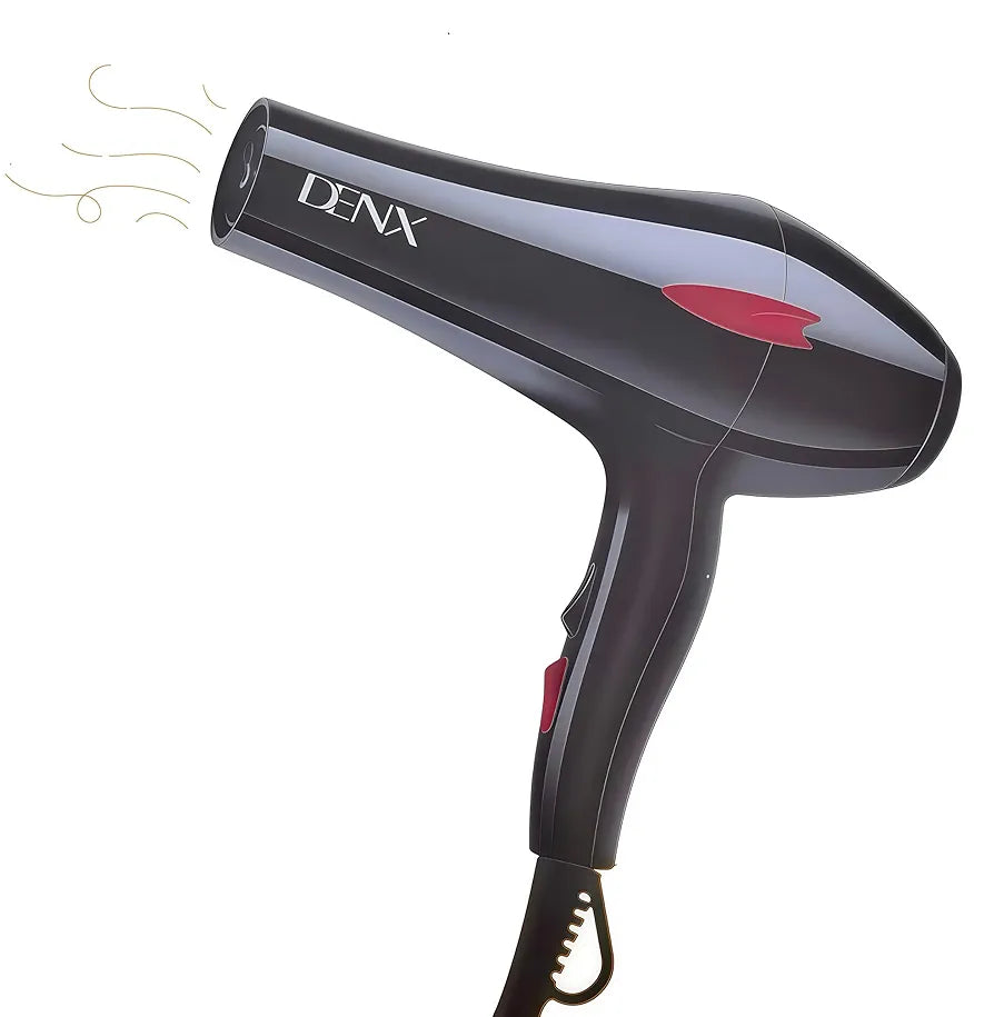 DENX Professional Hair Dryer DX1343