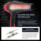 DENX Professional Hair Dryer DX1349