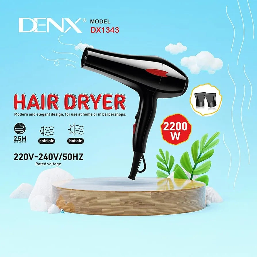 DENX Professional Hair Dryer DX1343