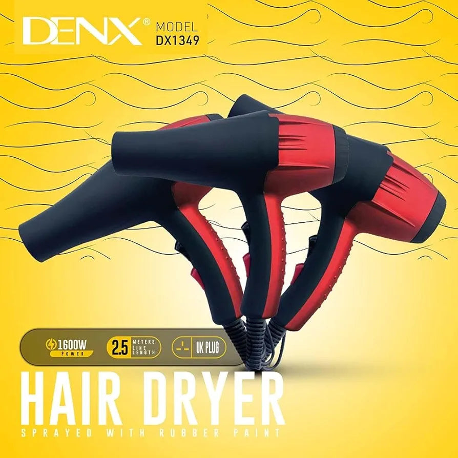 DENX Professional Hair Dryer DX1349