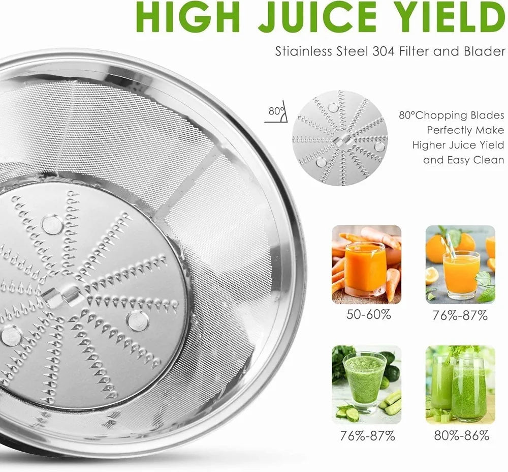 DENX Electric Juicer Machine 800W For Fruits and Vegetables, Powerful Centrifugal Fruit & Vegetable Juice Extractor with Wide Mouth Feed Chute, 500ml Capacity, Stainless Steel Filter, DX2071